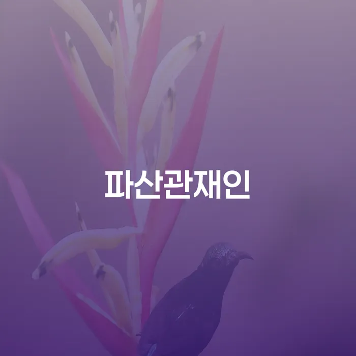 채무조정 채무 효과적인 해결방법 해결할 수 있을까?
