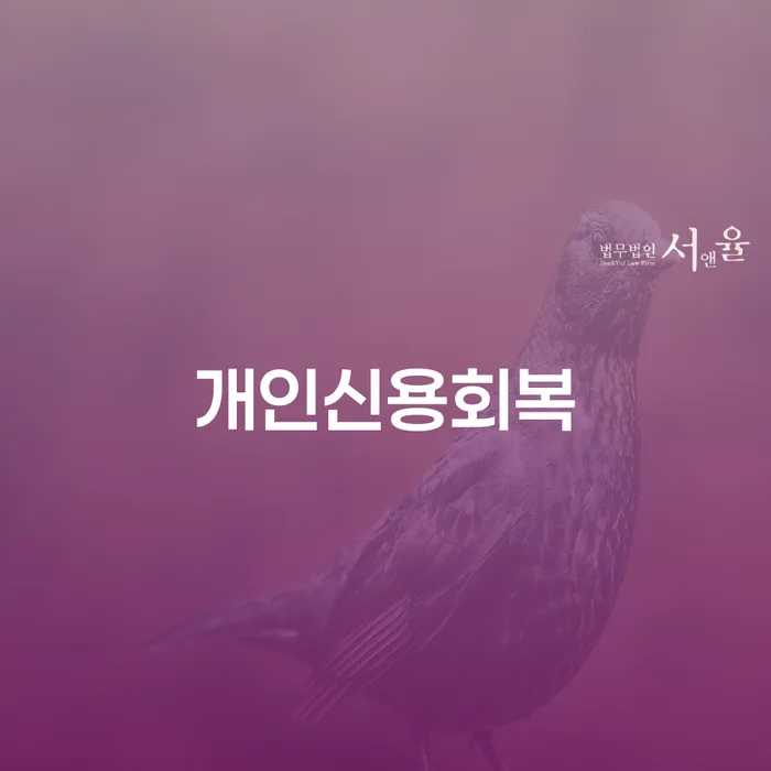 개인회생법무사 개인회생으로 방법 선택의 조건