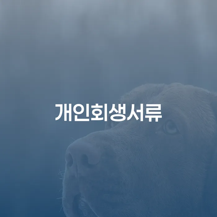 카드연체 개인회생 제도 견적체크