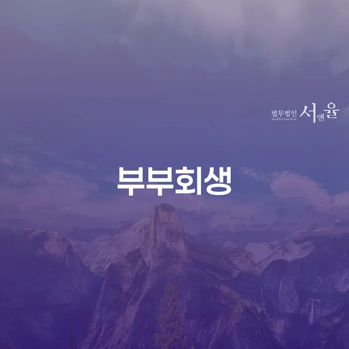 부부개인회생 빚갚는 방법 까지