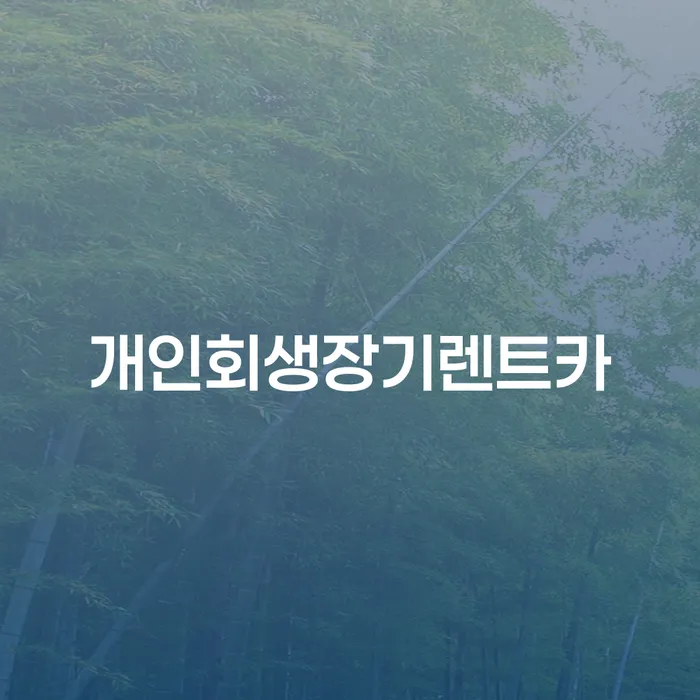 도박개인회생 대출 받은 돈채무조정 성향에