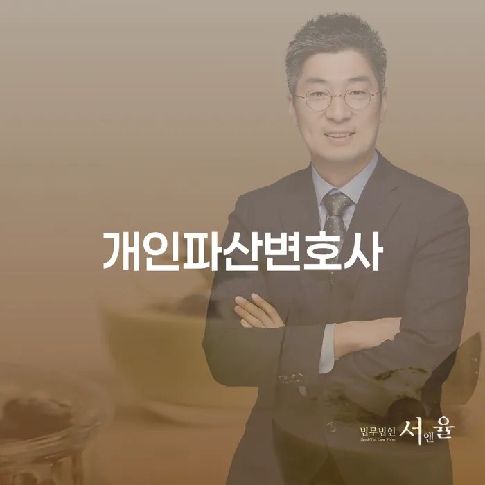 재파산 채무조정제도을 이용하여 할려는데