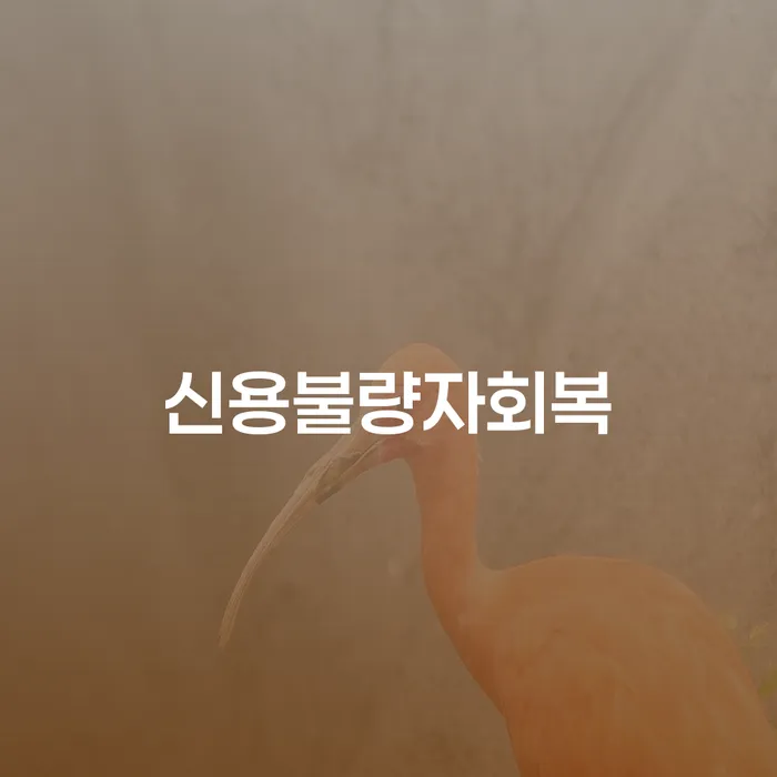 도박빚 워크아웃 추천하는 변호사