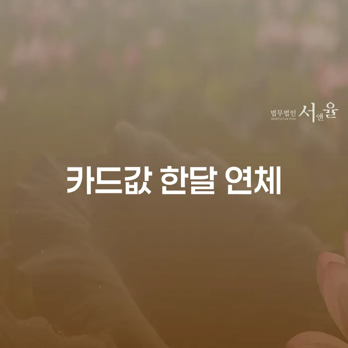 부산광역시 연체중대출 개인회생으로 해결방법 무료법률상담