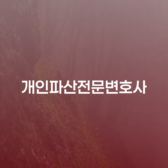 안성시 소액대출 연체 시 대출 연체 개인회생 잘하는 변호사