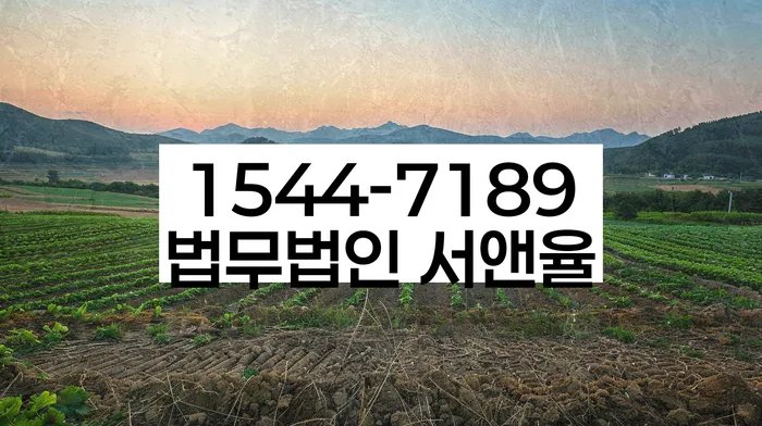 개인회생 재신청 기간 확인하고