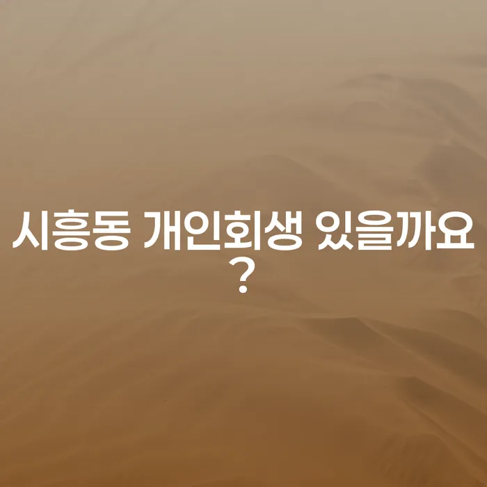 시흥동 개인회생 있을까요?