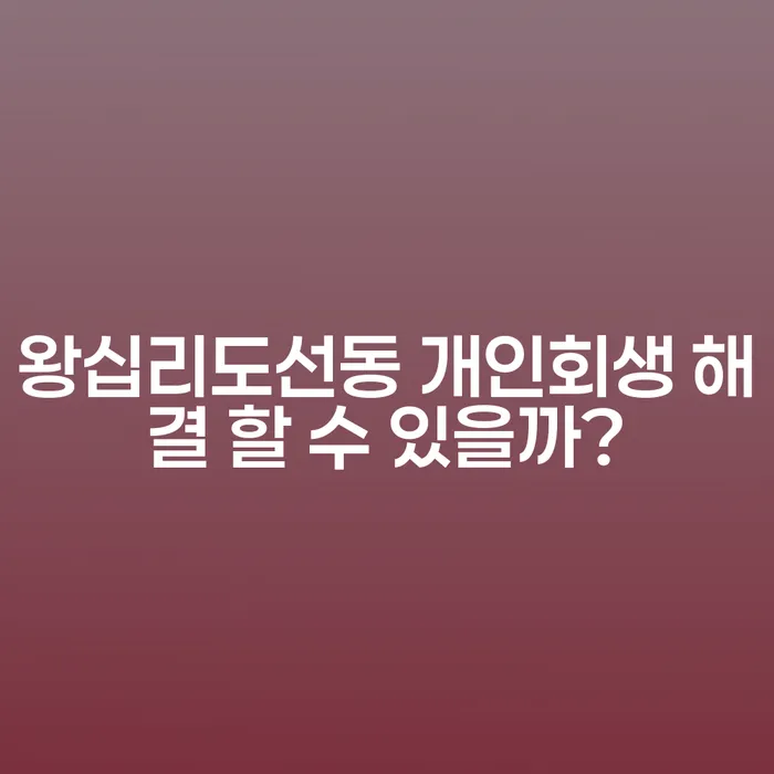 왕십리도선동 개인회생 해결 할 수 있을까?
