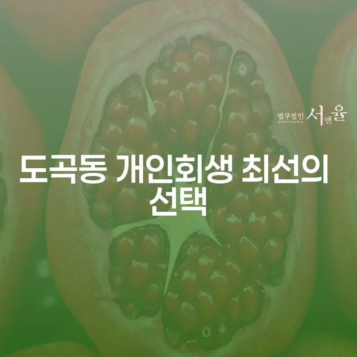 도곡동 개인회생 최선의 선택