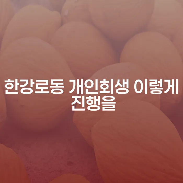 한강로동 개인회생 이렇게 진행을