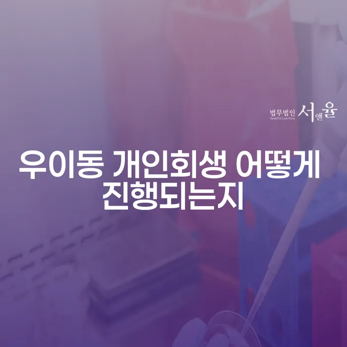 우이동 개인회생 어떻게 진행되는지