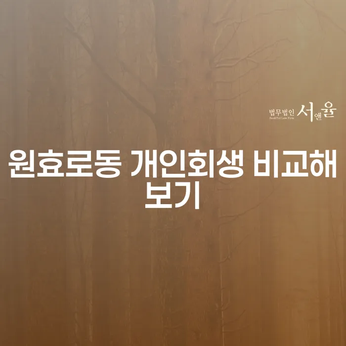 원효로동 개인회생 비교해보기