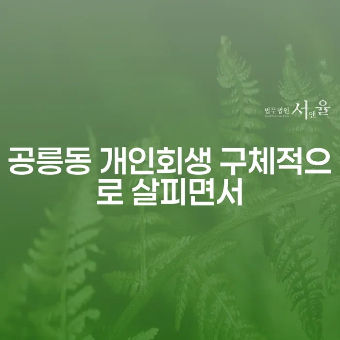 공릉동 개인회생 구체적으로 살피면서