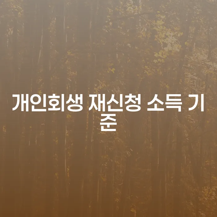 개인회생 재신청 시 소득 기준은 어떻게 될까요?