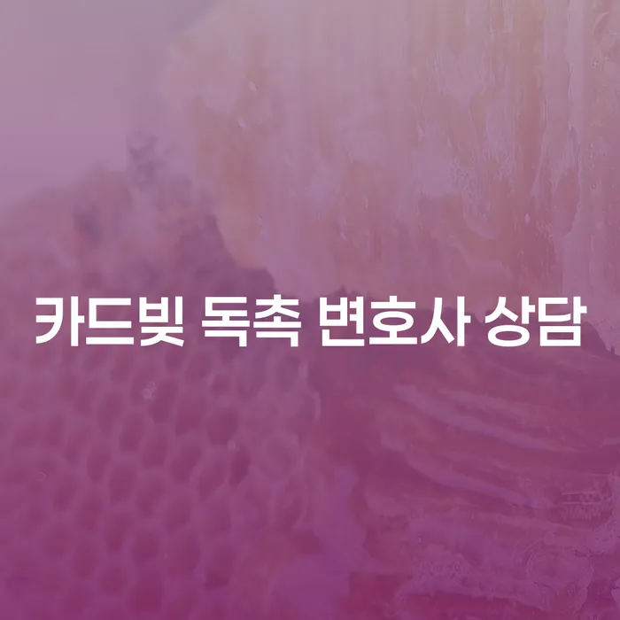카드빚 독촉 변호사 상담, 어떻게 시작해야 할까요?